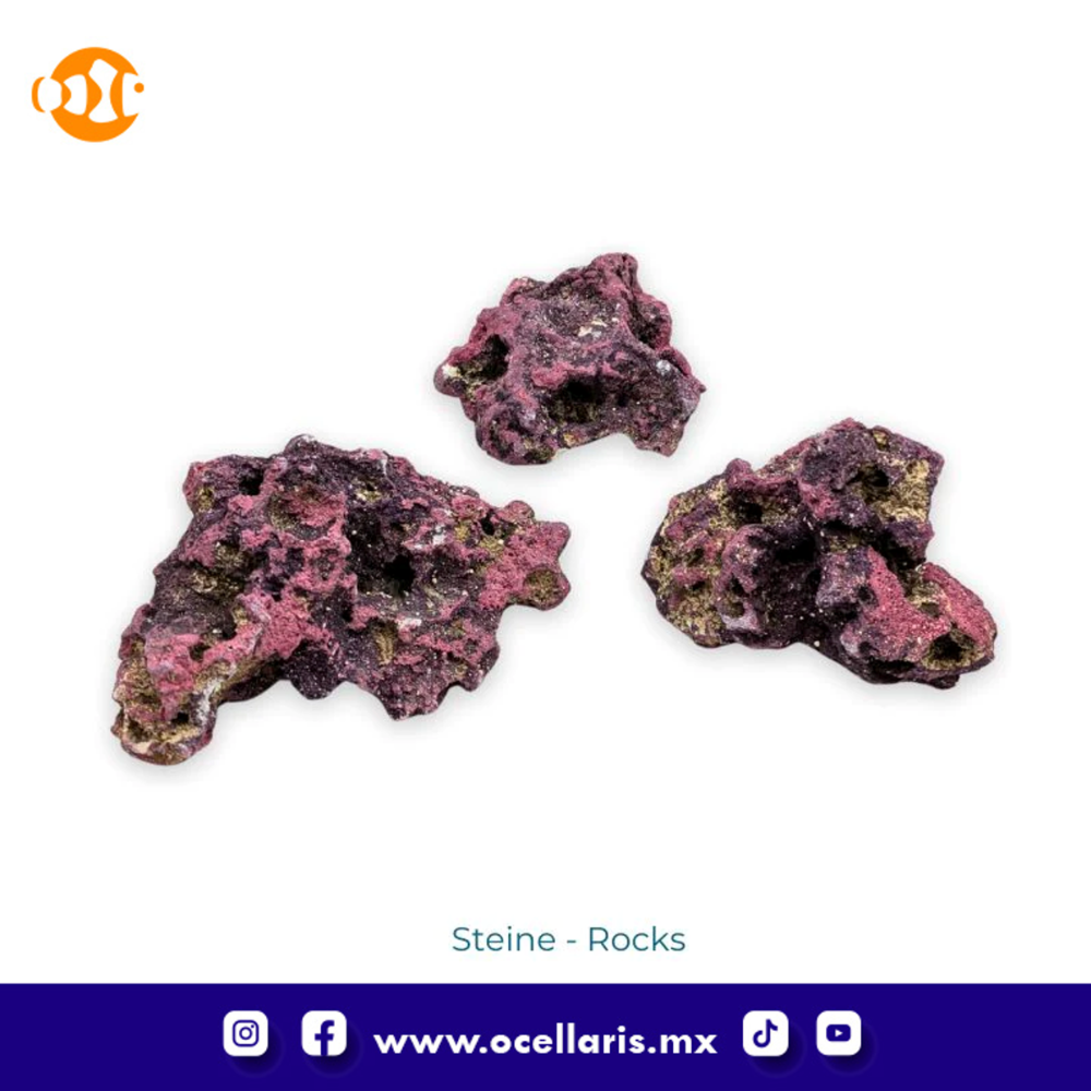 CaribSea Dreamscapes Aquascaping Kit 50 - 100 Litros - Image 6
