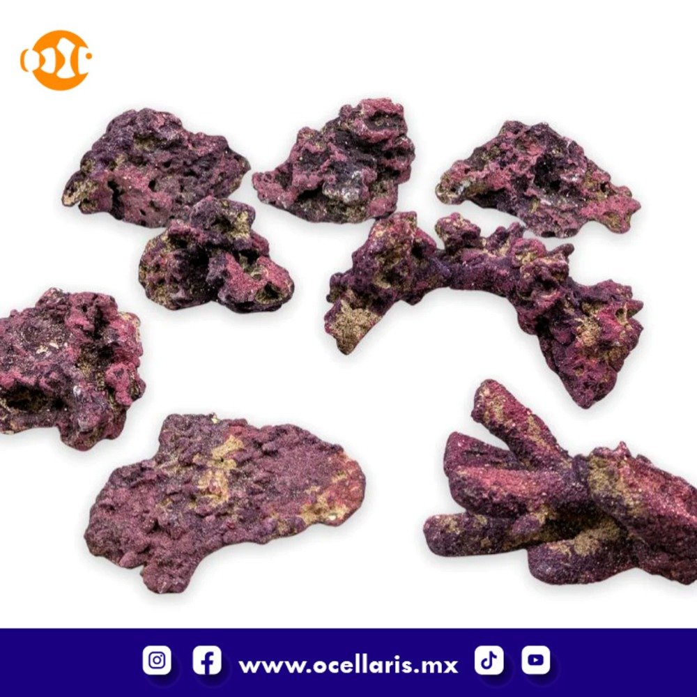 CaribSea Dreamscapes Aquascaping Kit 50 - 100 Litros - Image 2