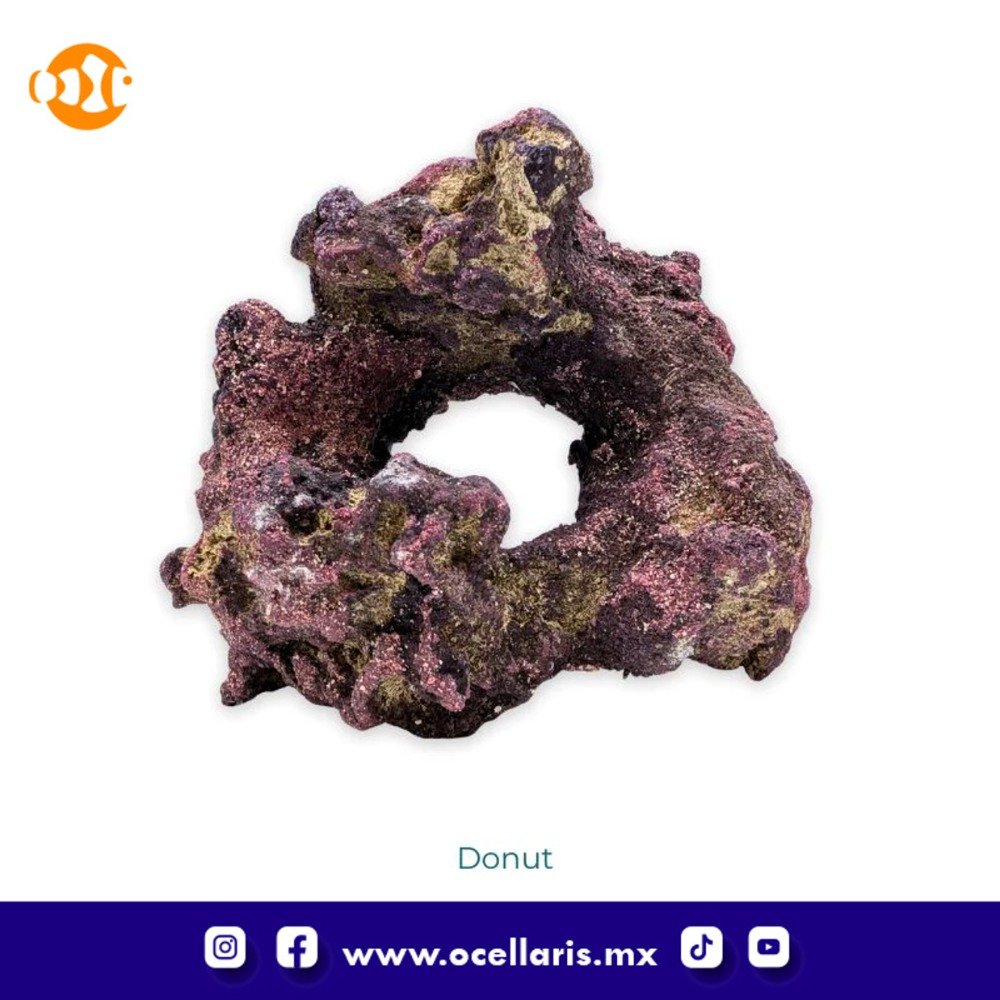 CaribSea Dreamscapes Aquascaping Kit 50 - 100 Litros - Image 7