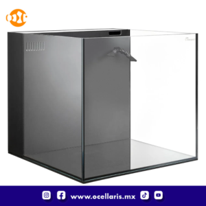 Maxspect DICE Nano Cube AIO - Acuario de 45Litros