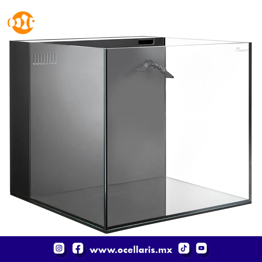 Maxspect DICE Nano Cube AIO - Acuario de 45Litros