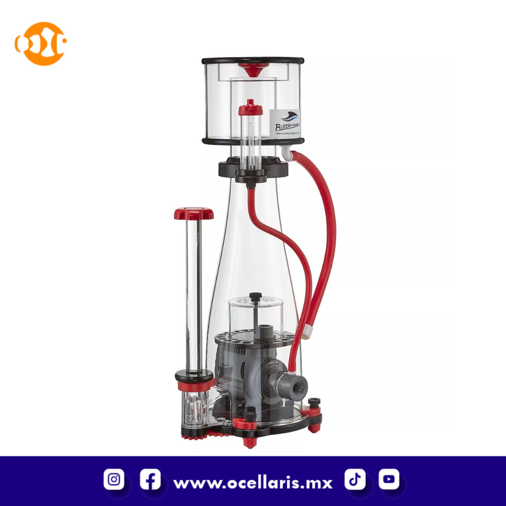 Bubble Magus CURVE 5 ELITE con bomba Sicce - 300/500 Litros