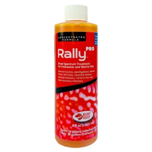 Ruby Reef Rally Pro - 8 oz