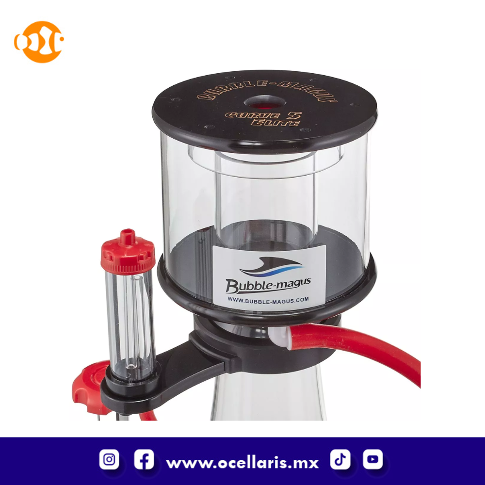 Bubble Magus CURVE 5 ELITE con bomba Sicce - 300/500 Litros - Image 3